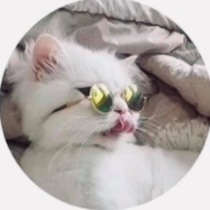 Meet your Posher, Naomi